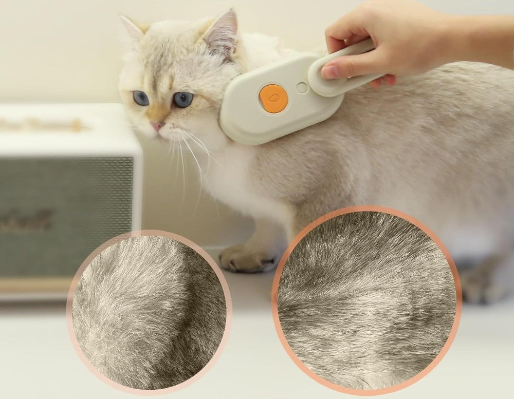 Pet Brush (Multicolor)